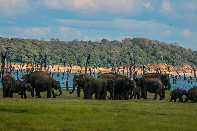 15-Day Tour in Sri Lanka with Private Driver - The Heritage of Polonnaruwa