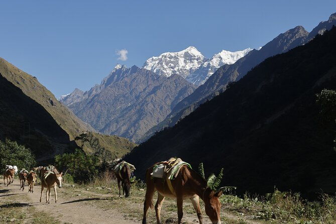 15 Days Manaslu Circuit Trek - FAQs