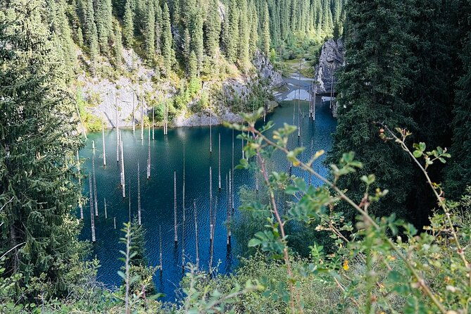 2 Day Tour to Almaty Kolsay and Kaindy Lake and Charyn Canyon - Who Should Consider This Tour?