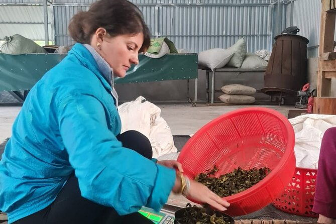 2 days Ancient Tea Tour and Real Homestay West of Ha Giang - Who This Tour Is Best For
