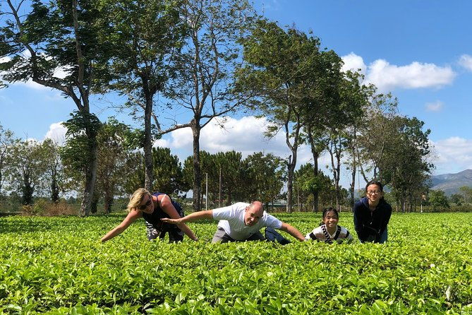 2 Days Motorbike Tour From Mui Ne To Da Lat Or Vice Versa - The Sum Up: Who Should Consider This Tour?