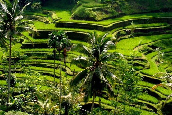 2 Days Mount Batur Sunrise Trekking With Private Ubud Day Tour - Practical Tips for Making the Most of This Tour