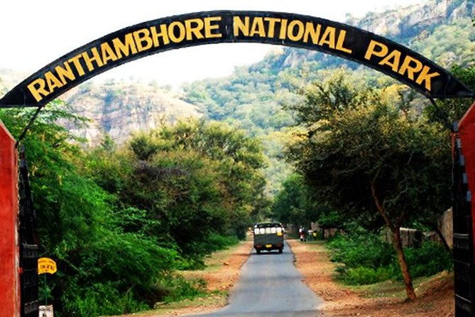 2-Days Private Ranthambhore Tiger Tour from Jaipur - Final thoughts
