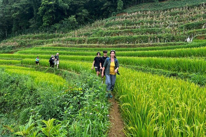 2 days private Wildland Trek in Sapa - Practical Tips for Future Trekkers  