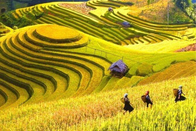 2 Days Sapa Adventure of Trekking, Fansipan Mountain, Workshop - The Value of This Tour