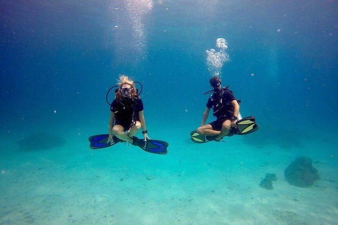 2 Fun Dives in Racha Yai or Noi for Certified Divers - Who Should Consider This Tour?