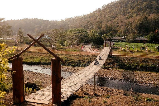 2D1N Mae Wang National Park Jungle Trekking Adventure from Chiang Mai - Who This Tour Is Best For