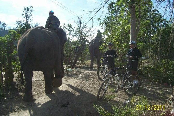 2Days tour to Nha trang from Dalat - The Sum Up: Who Is This Tour For?