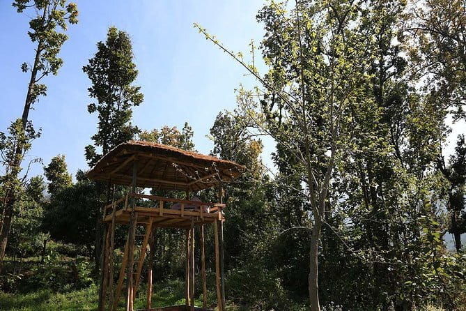 3 Day Camping Trip to Binsar Wildlife Sanctuary - Who Will Love This Experience?
