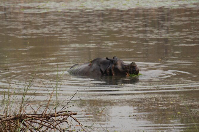 3-Day Chitwan National Park Jungle Safari Tour Package with Pick Up - The Sum Up