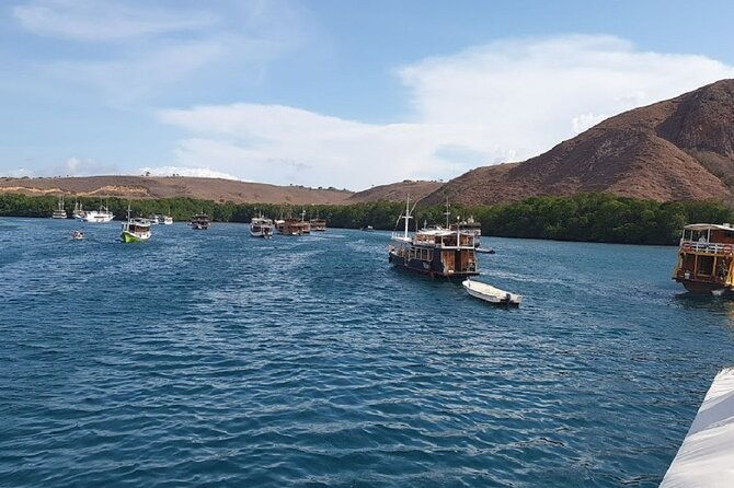 3-Day Komodo island Tour with or without Roundtrip Flight From Bali - Final Thoughts