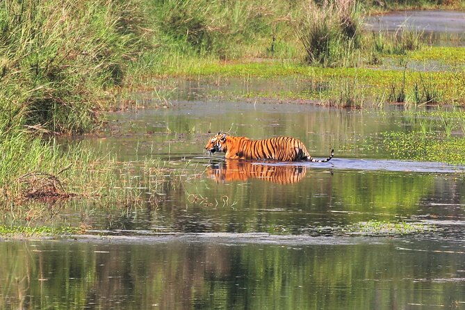 3 Days and 2 Nights Chitwan National Park Safari Tour in Pokhara - FAQs
