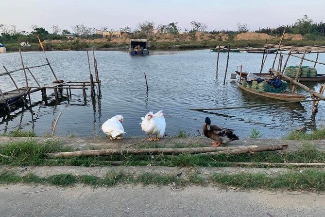 3 Hours Hoi An Countryside Motorbike Tour - The Sum Up