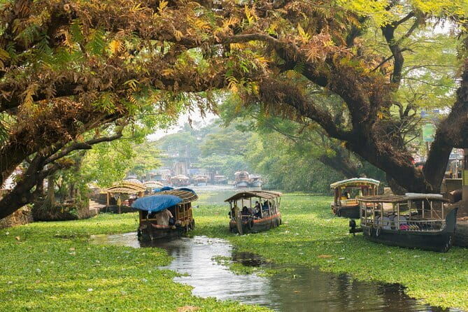 3 Nights Private Kerala Premium Package by Sanguine Holidays - Day 4: Kochi’s Historic and Cultural Highlights