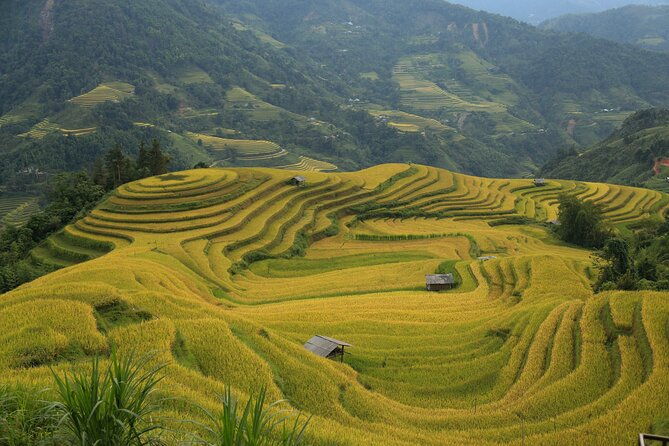 4-Day Tour in Ha Giang Loop with Professional Guide - Who Is This Tour Best For?