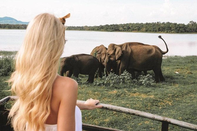 4 Days Essence Of Sri Lanka - FAQ  