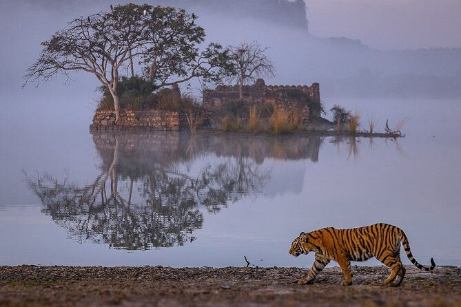 4 Days: Jaipur, Ranthambore Tigers & Taj Mahal Tour From Jaipur With Delhi Drop - The Sum Up