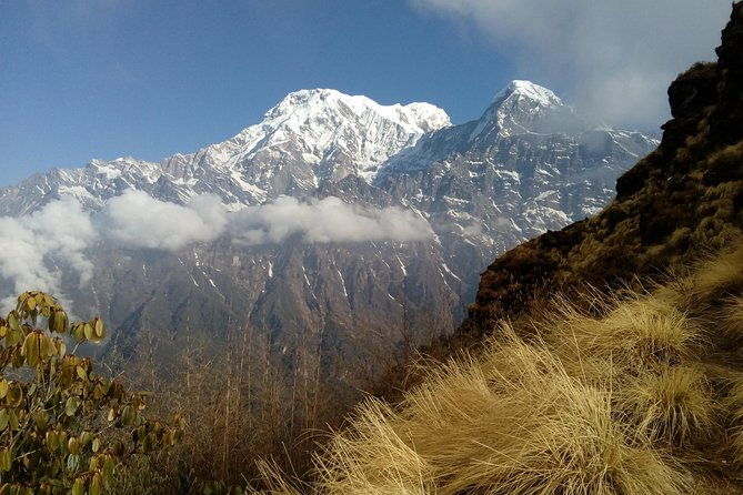 4 Days Mardi Himal Base Camp Trek from Pokhara - Authentic Experiences and Tips