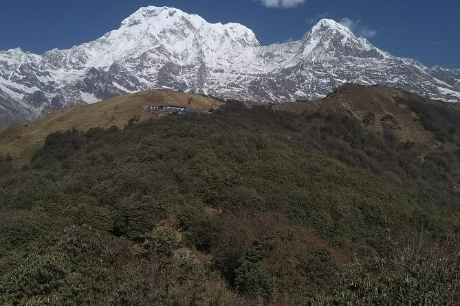 5 Days Mardi Himal Trek. - Who Should Consider This Trek?