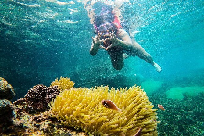 5 Islands Full-Day Tour Around Koh Tao and Koh Nangyuan - Final Thoughts