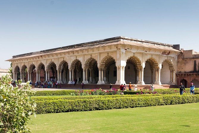 6 Day Private Tour of Taj with Glimpse of Tiger & Culture of Rajasthan - Review Highlights and Real Traveler Insights
