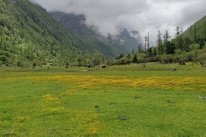 6 Days Mt.Siguniang Dafeng Erfeng Climbing - The Sum Up: Who Will Love This Experience?