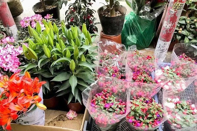 6-Hour Private Beijing Tour: Flower and Fish Market, Panjiayuan Antique Market and 798 Art Zone - Frequently Asked Questions