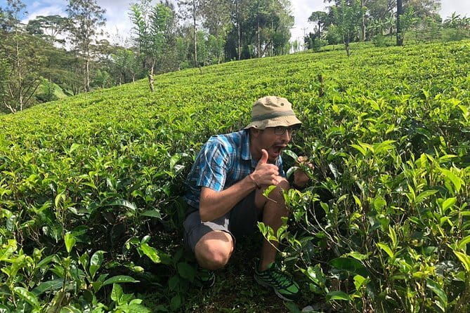 7 Days Sri Lanka Tour Chauffeur Wildlife and Heritage Adventure - FAQ