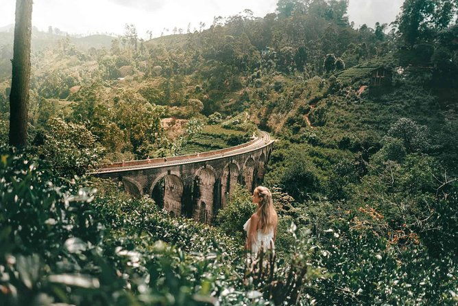 8-Day Romantic Honeymoon Tour - Discovering Nuwara Eliya and Tea Culture