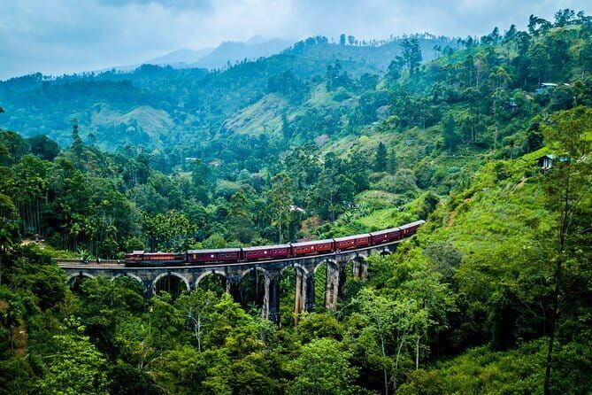 8 Days/ 7 Nights - Sri Lankas Culture Wildlife and Beaches - Wrapping Up