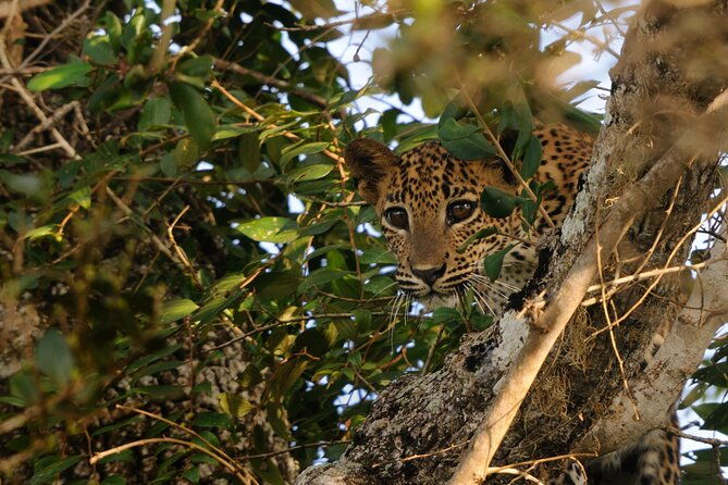 8 Nights 09 Days Simply Sri Lanka - Final Thoughts