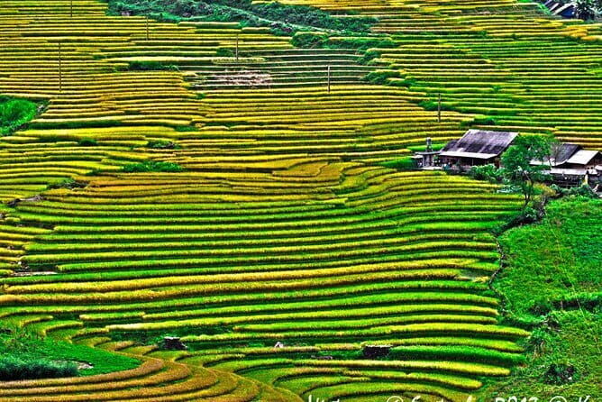 A day Trek to Rice Field in LaoChai-Tavan village-MuongHoa valley - Final Thoughts