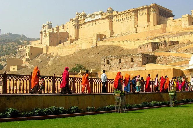 A day with DD - See Jaipur like a local with a local. - Pricing and Value