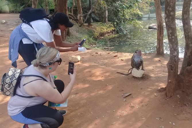 Adventure trincomalee to sigiriya and wild safari ,village tour - Safari Experiences: Minneriya or Kaudulla