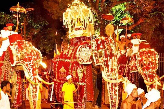 Adventures of the Last Kingdom of Sri Lanka - Who Is This Tour Best For?
