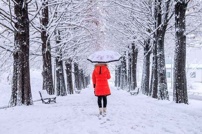 All Day Private Make your own plan tour to Nami Island and others - Things to Consider