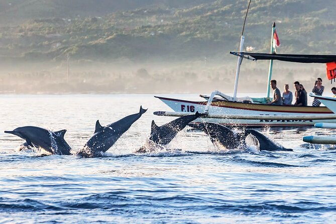 All inclusive Lovina Dolphins Sunrise tour, Waterfall & Temple - Practical Aspects and Tips  