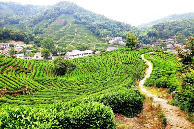 All-Inclusive Private Day Tour to Hangzhou by Bullet Train - Practicalities and What’s Included