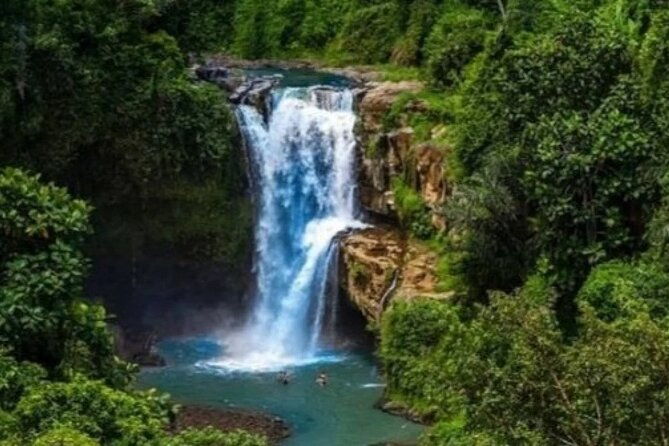 All-Inclusive Private Ubud and Tanah Lot Temple Tour - Who Should Consider This Tour?