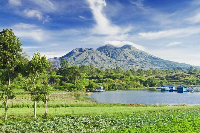 All Inclusive Ubud Tour with 15 Sitter Van - Who Will Love This Tour?