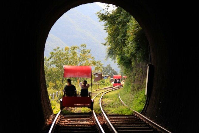 Alpaca World and Nami Island with Gangchon Rail Bike Tour - FAQs
