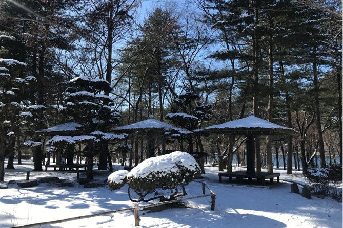 Alpaca World & Nami Island & Garden of Morning Calm One Day Tour - FAQs