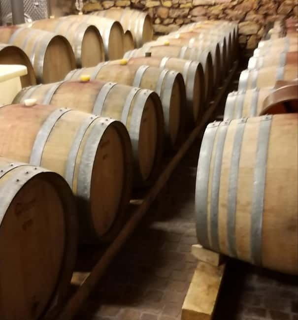 Alsace wine tour & medieval villages small group guided tour - Final Thoughts: Who Will Love This Tour?