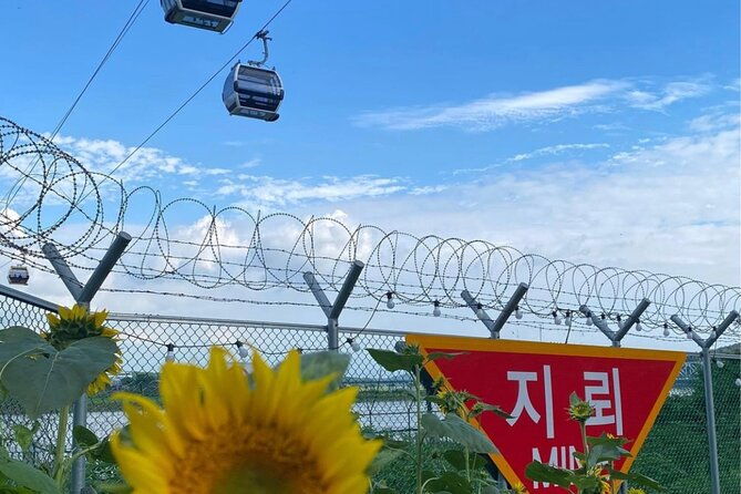 Amazing DMZ TOUR with Exclusive North Korean Defector Meet-Up - Price and Value