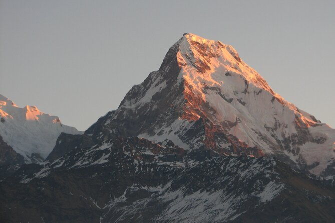 An 8- day itinerary for Ghorepani Pun Hill trek for Sunrise & Himalaya view Tour - Day 3 & 4: The Star of the Show—Pun Hill and Annapurna Range