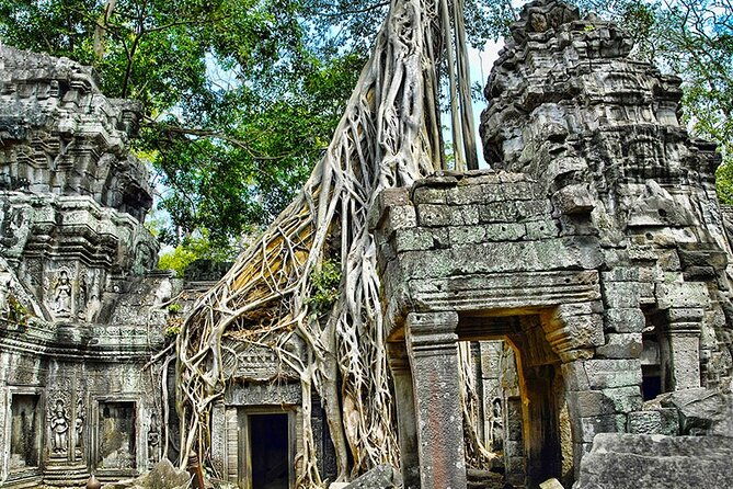 Angkor Wat Temples & Kulen Elephant Forest Day Tour - FAQ