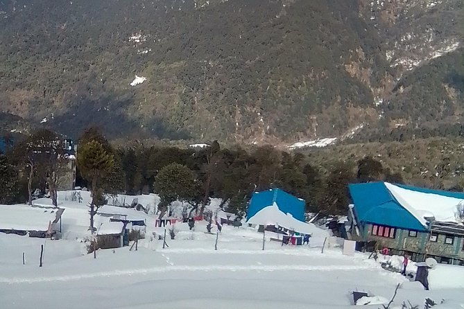 Annapurna: 5 Days Poon Hill Circuit Trek from Pokhara - What’s Included and What’s Not