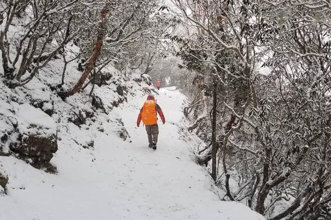 Annapurna base camp trek 5 Days - Transportation and Timing