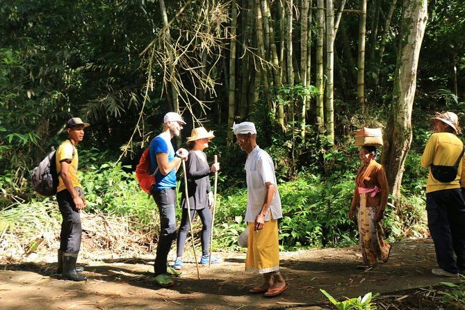 Authentic hike in the forest with lunch at the inhabitant - FAQ