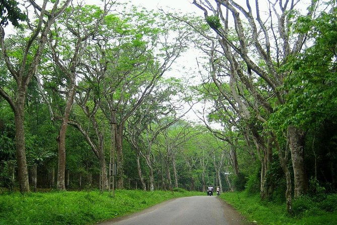 Ba Vi National Park Private Tour: Sightseeings & Jungle Hikking - FAQ